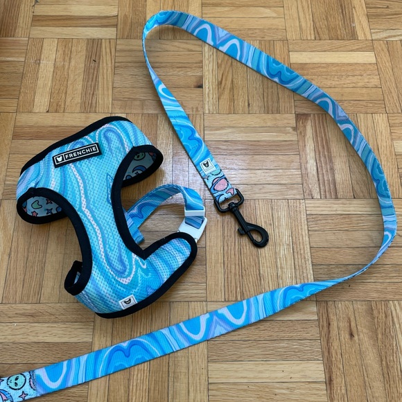 Small dog harness and leash - Picture 3 of 3